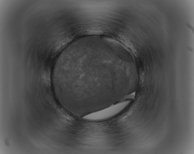 X0000091850681200709191057