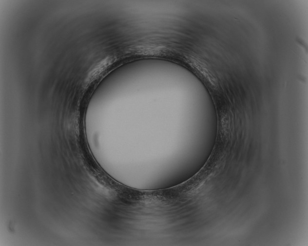 X0000091850682200709191057