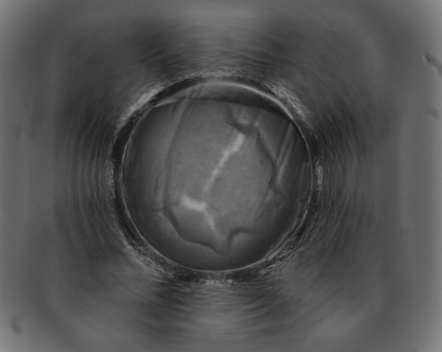 X0000091850684200709191057