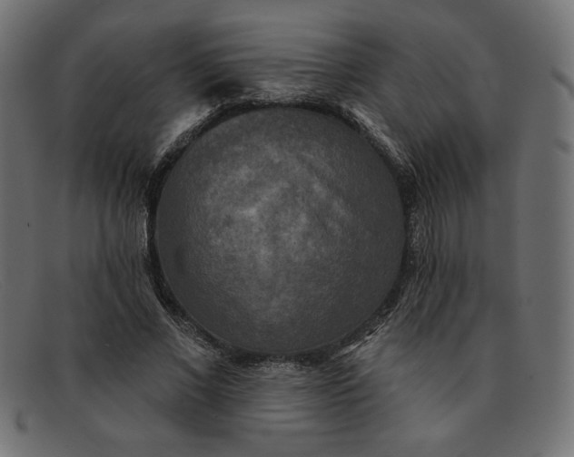 X0000091850685200709191057