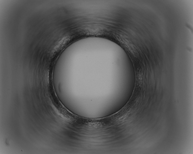 X0000091850686200709191057
