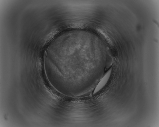 X0000091850688200709191057