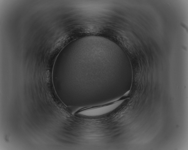 X0000091850689200709191057