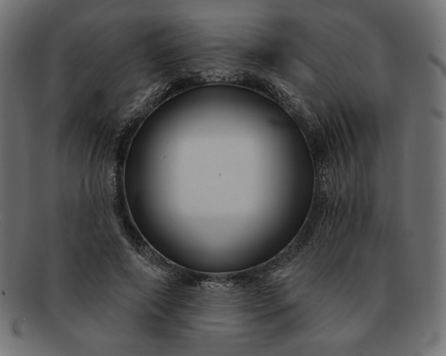 X0000091850690200709191057