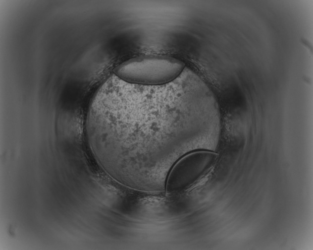 X0000091850691200709191057