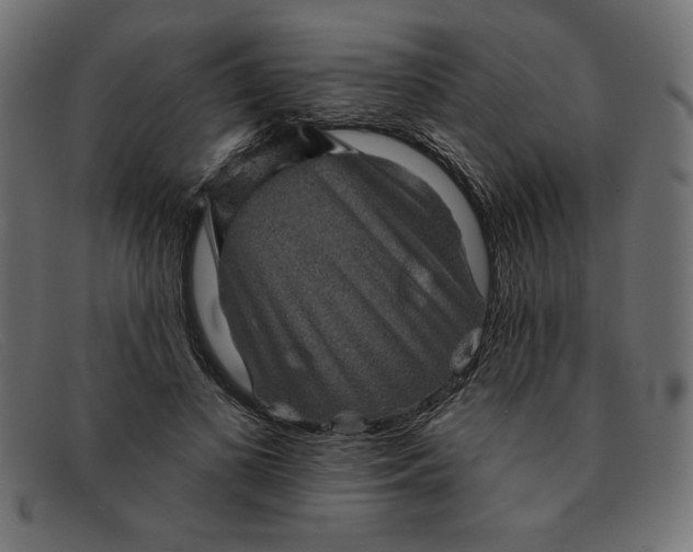 X0000091850693200709191057
