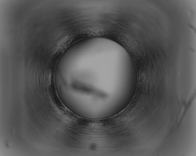 X0000091850694200709191057