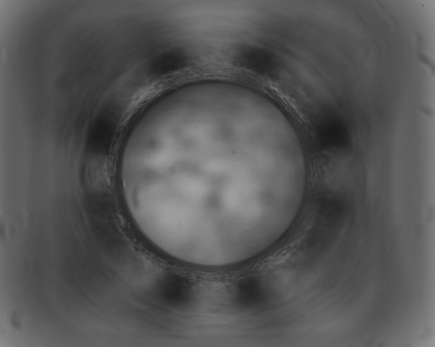 X0000091850695200709191057