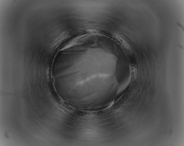 X0000091850696200709191057