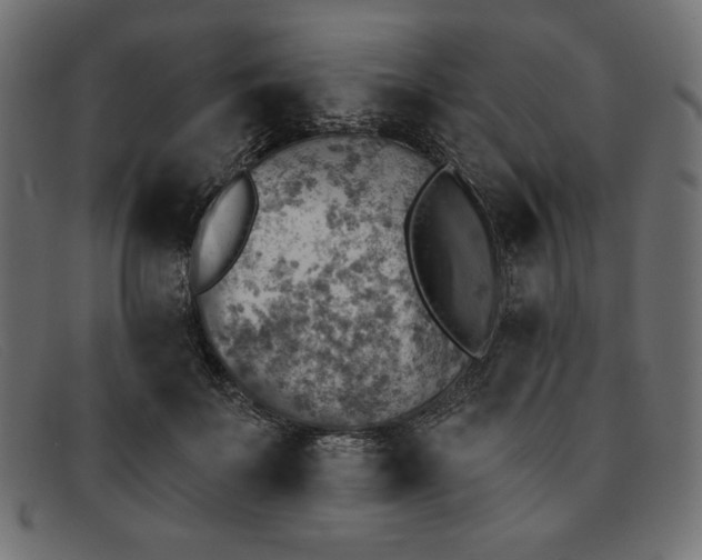 X0000091850699200709191057