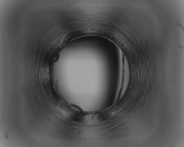 X0000091850700200709191057