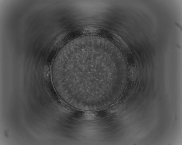 X0000091850701200709191057