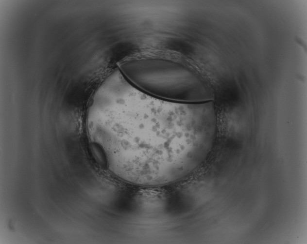 X0000091850703200709191057