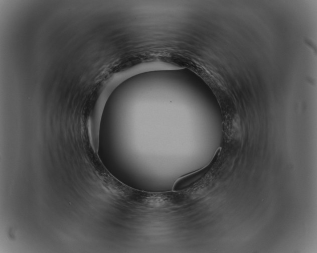 X0000091850704200709191057