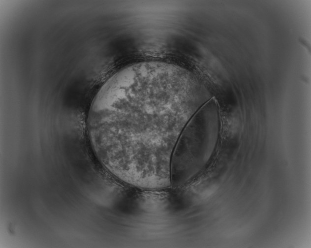 X0000091850707200709191057
