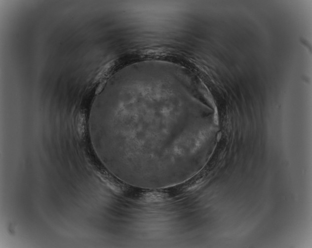 X0000091850708200709191057