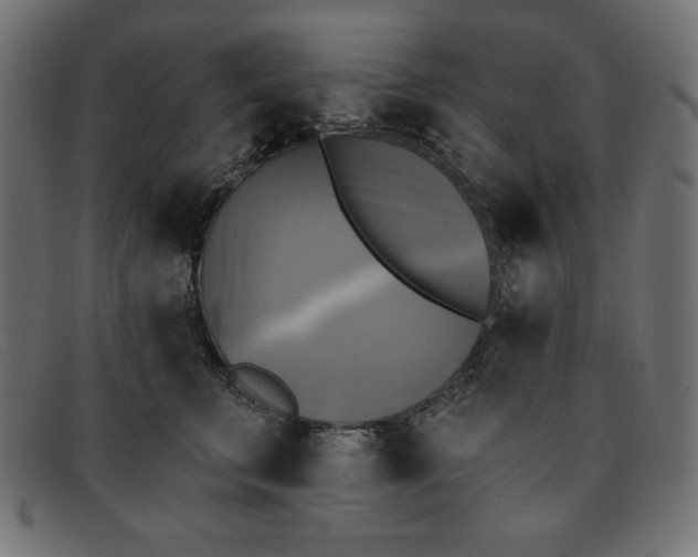 X0000091850711200709191057