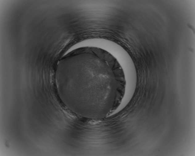 X0000091850712200709191056