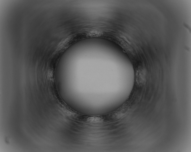 X0000091850714200709191056