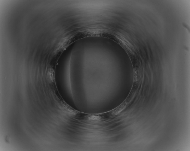 X0000091850718200709191056