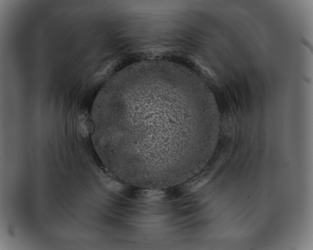 X0000091850719200709191056