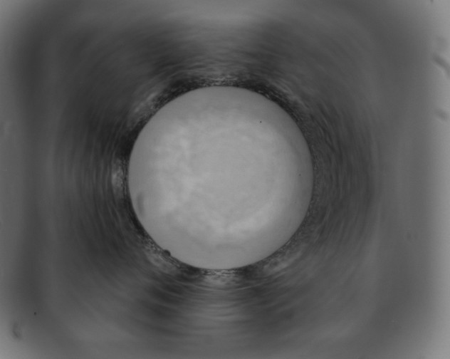 X0000091850720200709191056