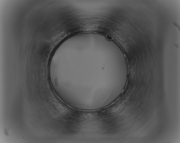 X0000091850721200709191056