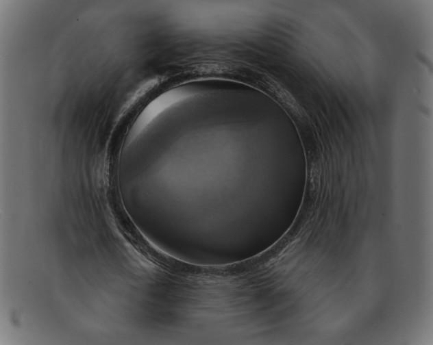 X0000091850722200709191056