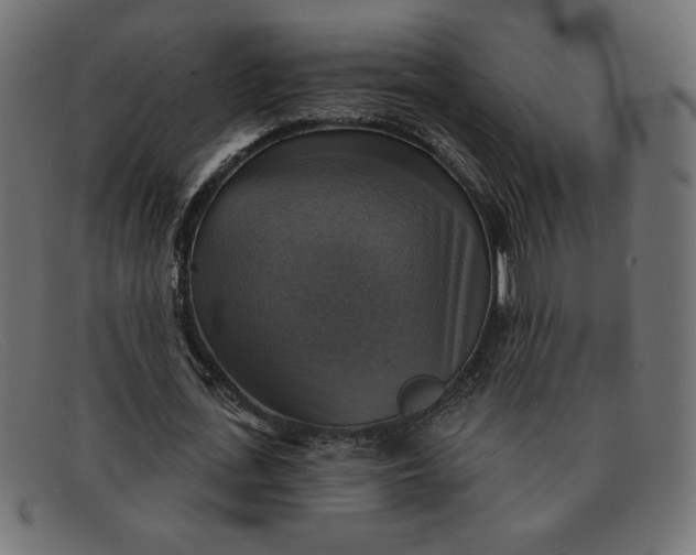 X0000091850723200709191056