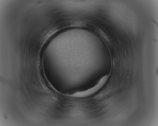 X0000091850724200709191056
