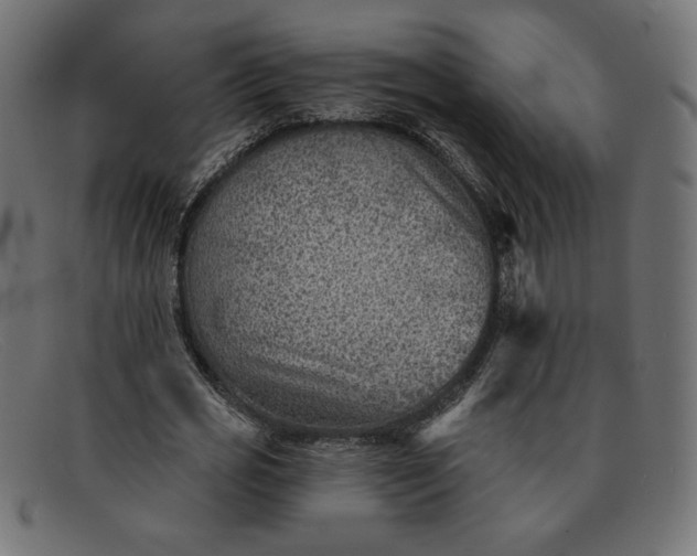 X0000091850725200709191056