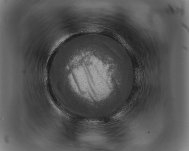 X0000091850726200709191056