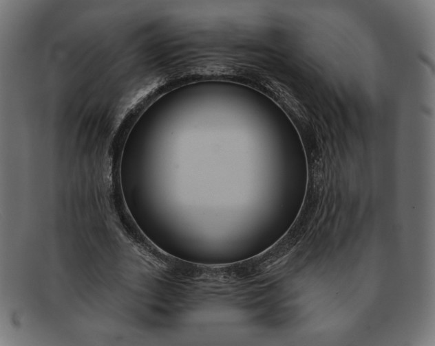 X0000091850727200709191056