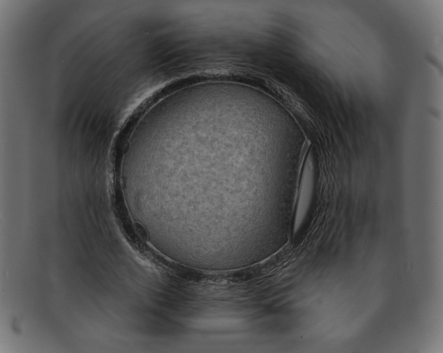 X0000091850728200709191056