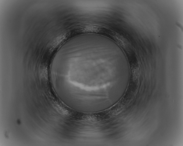 X0000091850729200709191056