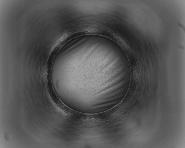 X0000091850730200709191056