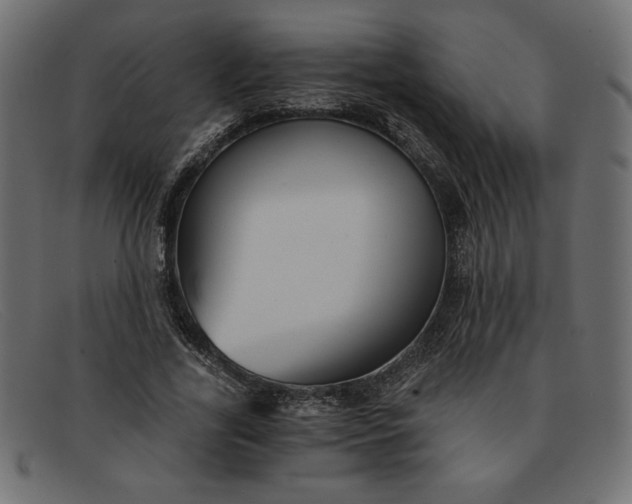 X0000091850731200709191056