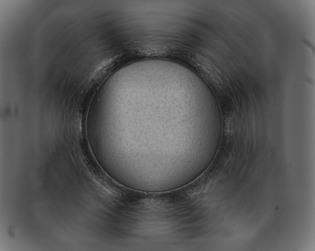 X0000091850733200709191056