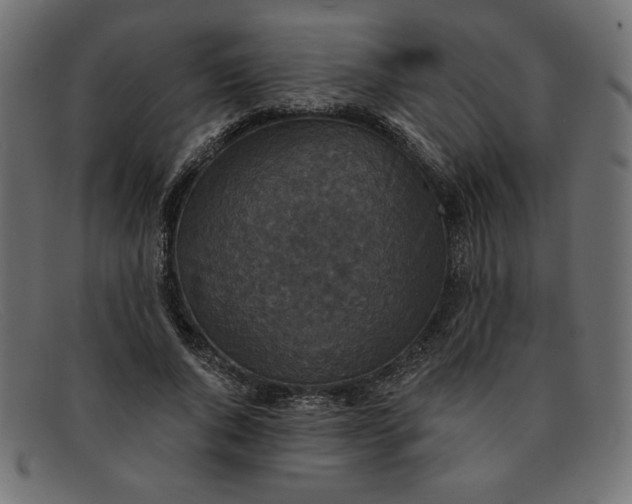 X0000091850736200709191056