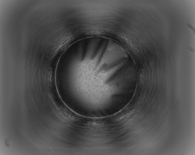 X0000091850739200709191056