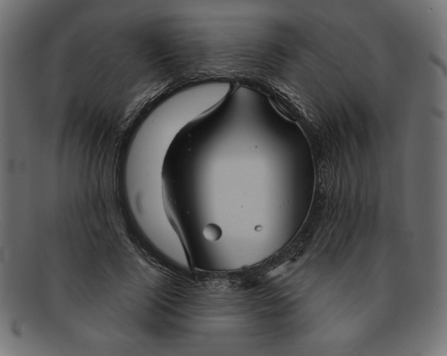 X0000091850740200709191056
