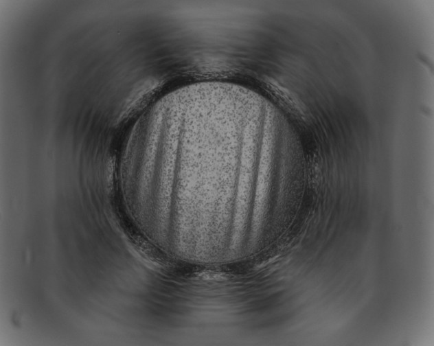 X0000091850742200709191056