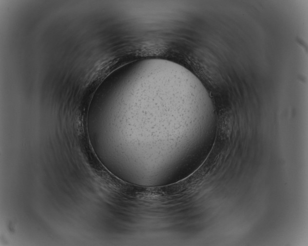 X0000091850743200709191056