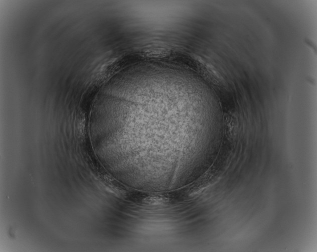X0000091850745200709191056