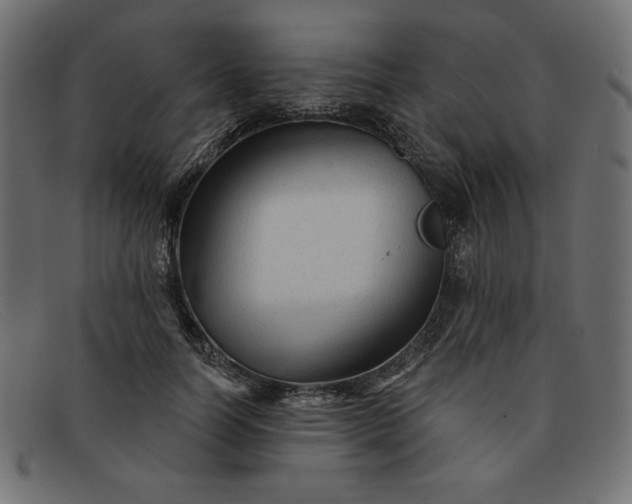 X0000091850746200709191056