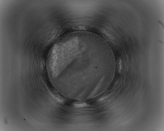 X0000091850747200709191056