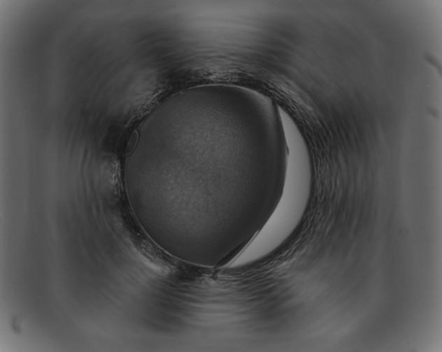 X0000091850748200709191056