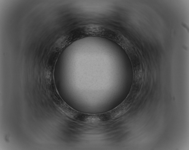 X0000091850749200709191056