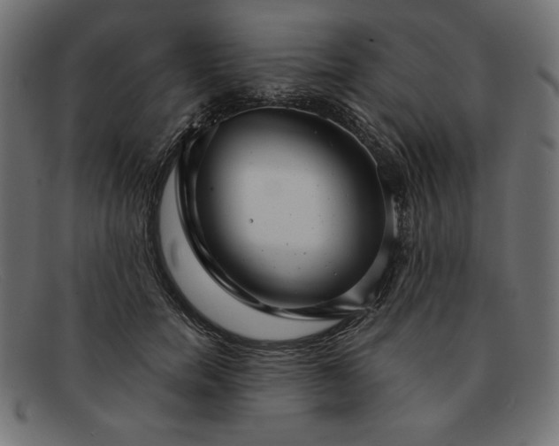 X0000091850750200709191056
