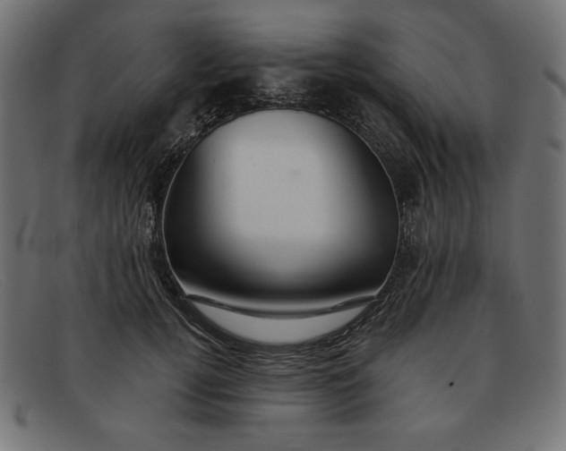 X0000091850752200709191056